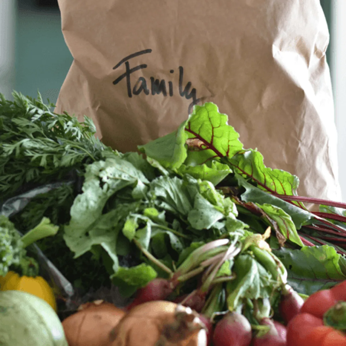 Small Organic Seasonal Veg Bag